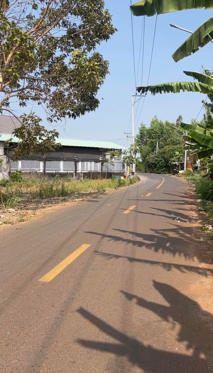 Đất nền Thị trấn Đất Đỏ, BRVT 290m² giá 2.1 tỷ - Tiềm năng tăng giá vượt trội!