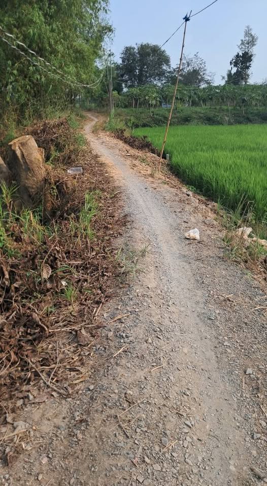 Bán Đất Vĩnh Thành An Giang 5000m² - Mặt Tiền Kênh Trà Sa, Giá Tốt