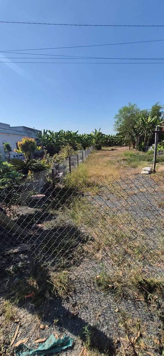 Đất nền Hòa Bình Thạnh Châu Thành 350m² + 1 công vườn giá 1 tỷ Sổ đỏ sẵn