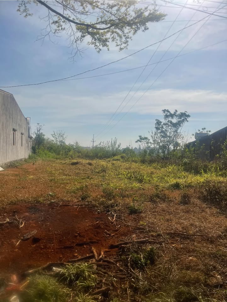 Đất nền Nam Bình, Đắk Song 500m² - Tiềm năng tăng giá cực lớn!