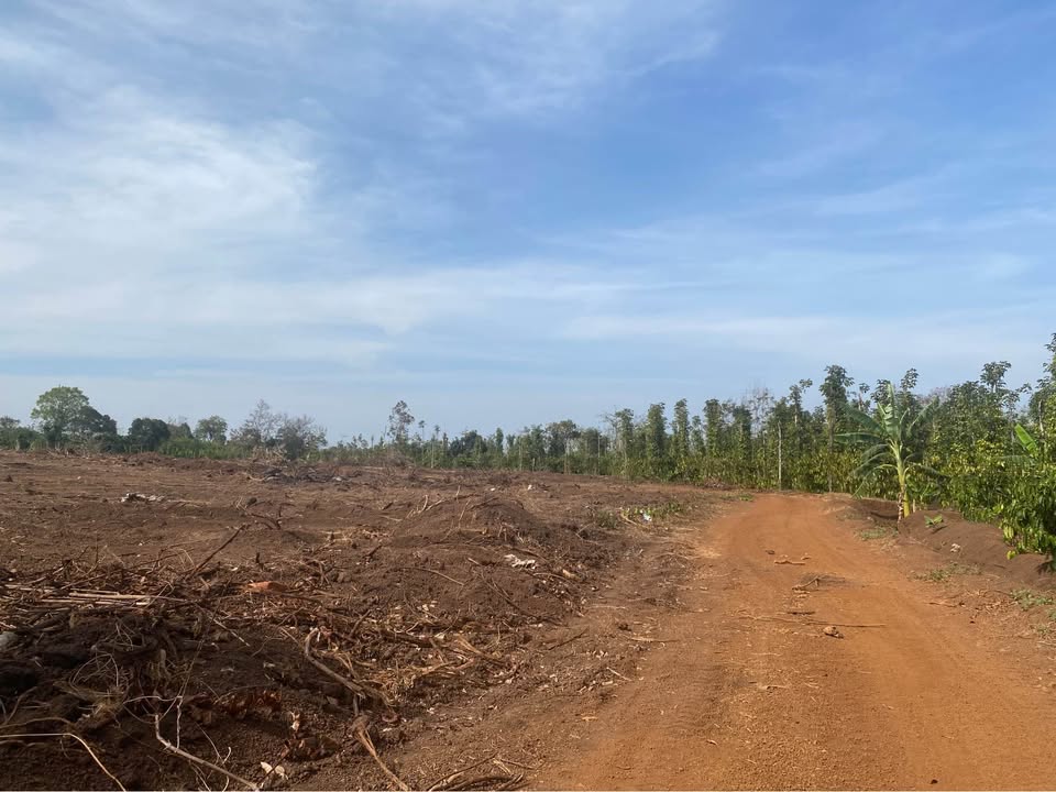 Đất Nền Buôn Đôn 1.5Ha Mặt Tiền 170m - Giá Đầu Tư 15 Tỷ