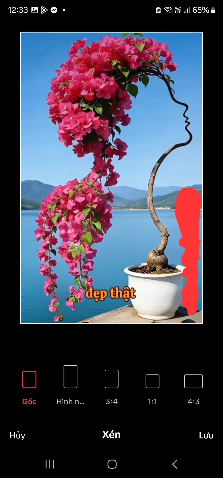 Bán 2ha Đất Vườn Đắk Drô 4.5 Tỷ - Nguồn Thu Khủng, Sẵn Sầu Riêng Thái!