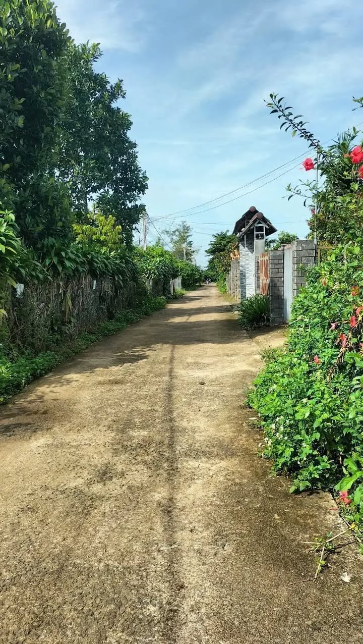 Bán Đất Nền Lộc Thanh, Bảo Lộc 688m² - Sổ Đỏ Rõ Ràng, Giá 2.6 Tỷ