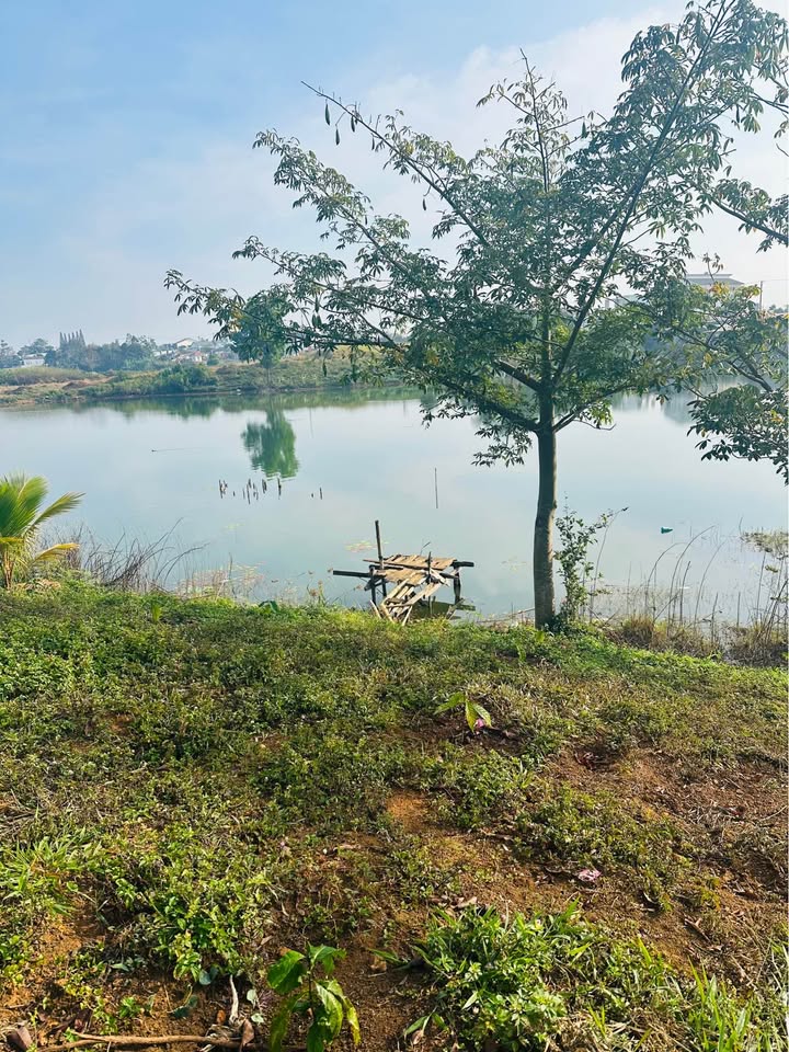 Đất Vườn Bảo Lâm 1111m² - Mặt Tiền Hồ 7.5m, Nở Hậu 35m