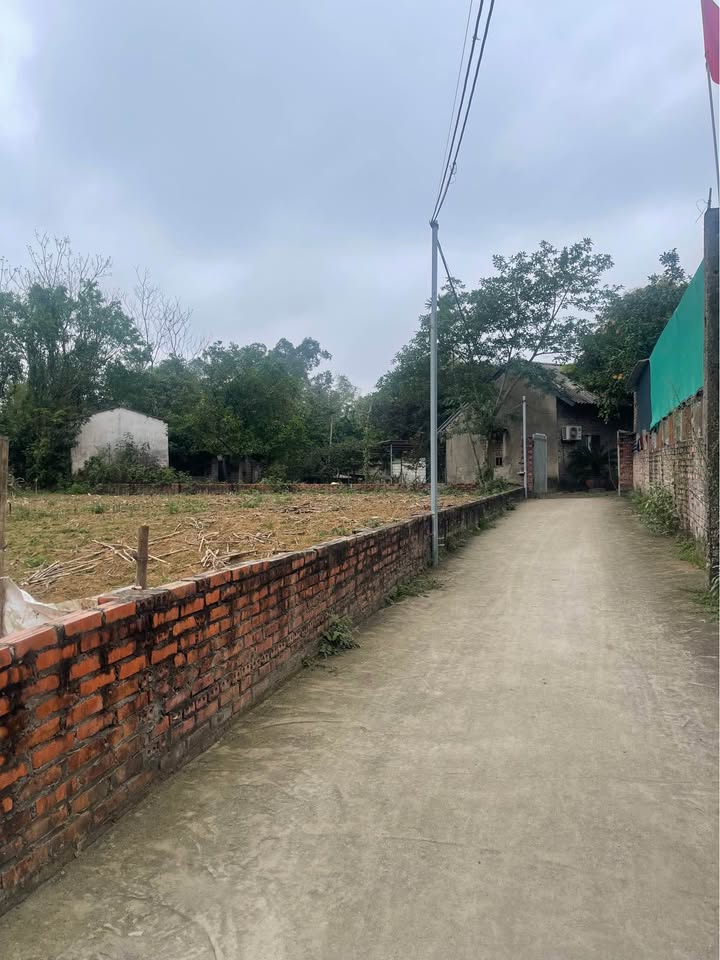 Đất nền Minh Phương Việt Trì 200m² giá 1.8 tỷ - Sổ đỏ chính chủ