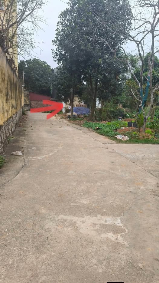 Bán Đất Nền Phường Chùa Hang, TP. Thái Nguyên - 95m² - Giá Tốt