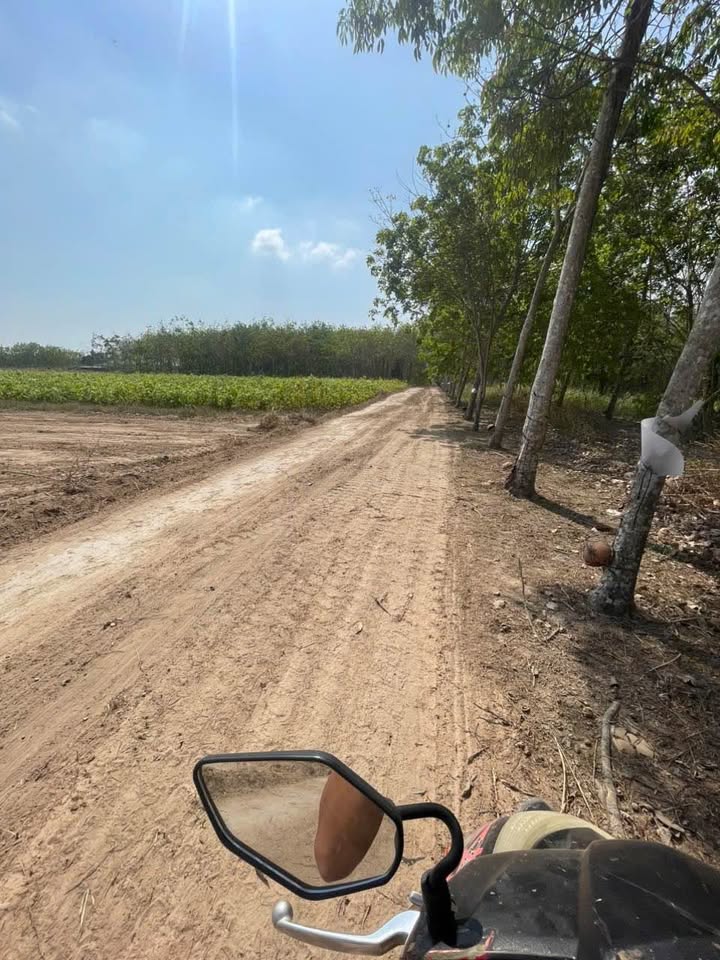 Đất Nền Sổ Đỏ Long Hưng, Bình Phước - 100m² Chỉ Từ 3xx Triệu