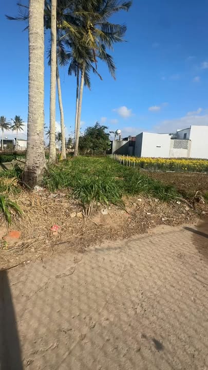 Đất nền Hẻm Chí Công, Đăk Pơ 147m² - Sổ đỏ chính chủ!