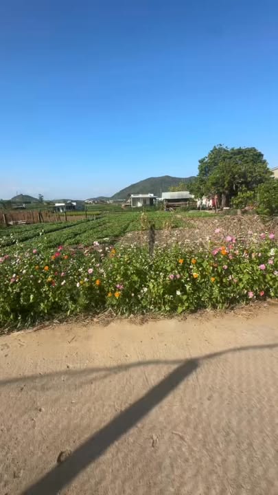 Đất nền Hẻm Chí Công, Đăk Pơ, Gia Lai 165m² - Sổ đỏ chính chủ