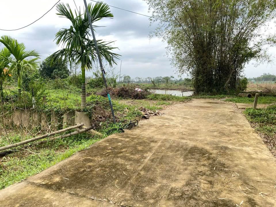 Đất Nền Duy Nghĩa Quảng Nam - 245m² Sổ Hồng Sẵn, Giá Tốt