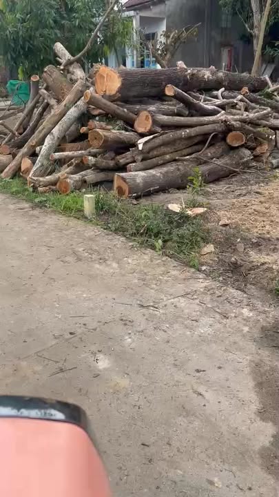 Đất Nền Điện Nam Bắc - 175m² Hướng Đông - Sổ Đỏ Sẵn Sàng - 1.85 Tỷ