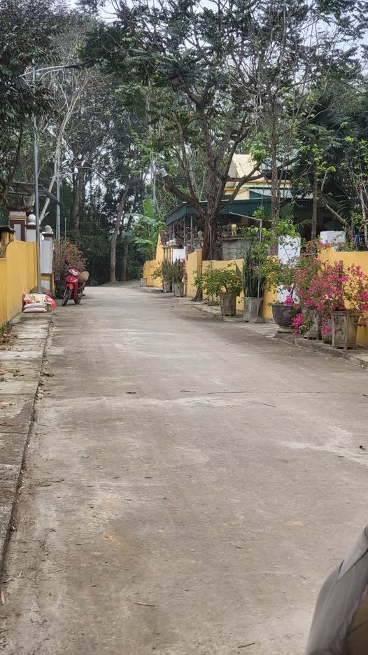 Đất Yên Phú, Thanh Hóa - 200m² 2 Mặt Tiền, Giá Chỉ 3XX Triệu