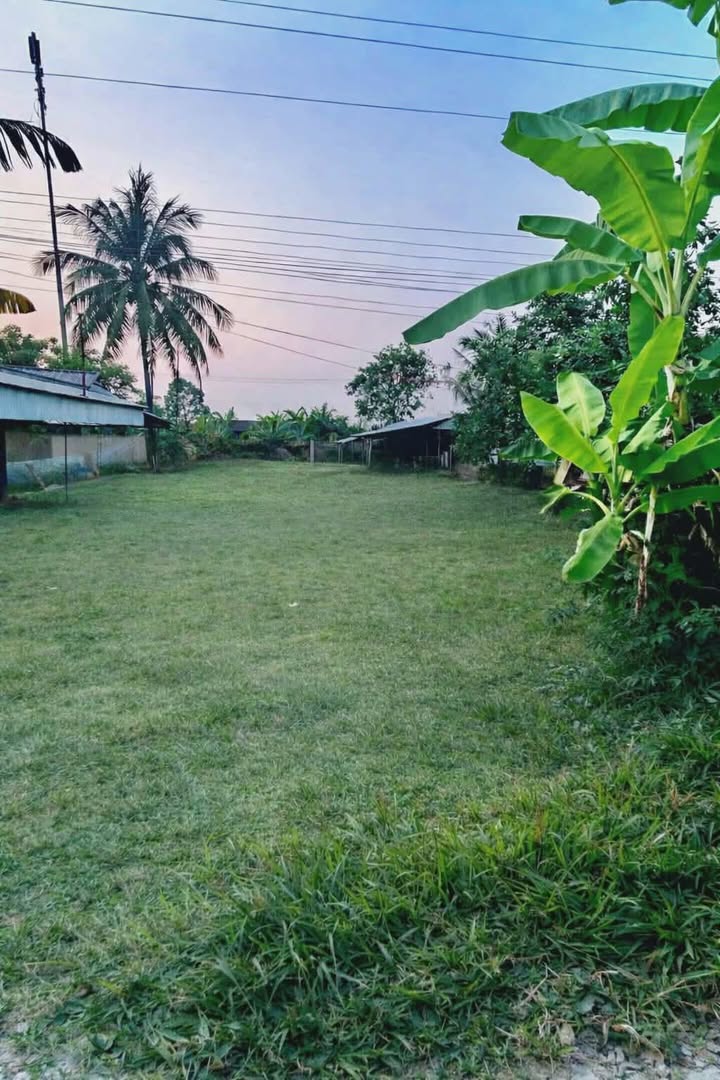 Bán Gấp Đất Thổ Cư + Ruộng 5260m² Đường Bờ Sáng, Tân Hiệp, Kiên Giang - Giá 2 Tỷ