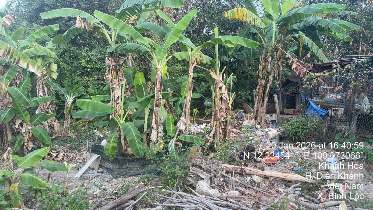 Đất nền Diên Khánh 127m² Sổ hồng chính chủ, giá chỉ 680 triệu