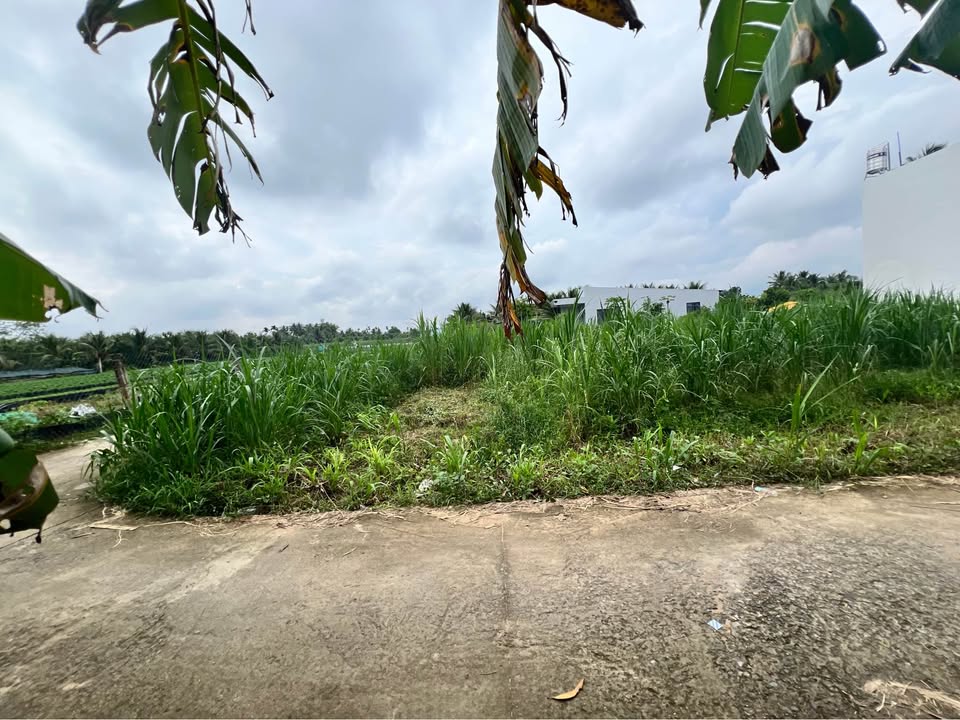 Đất nền Mỹ Phong, Tiền Giang - 80m² (4x20m) - Sổ đỏ sẵn sàng giao dịch