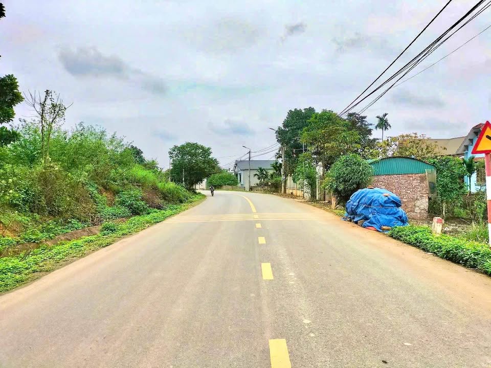 Đất nền Ao Vua Ba Vì 281m² – Tiềm năng tăng giá vượt trội!