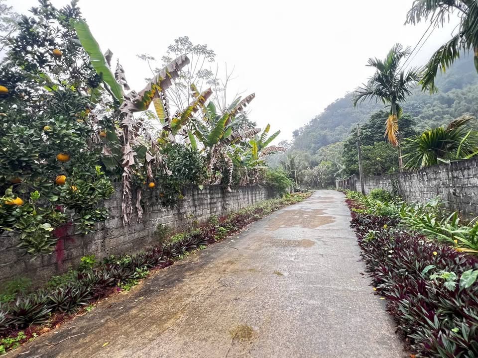 Bán Đất Yên Thủy, Hòa Bình 375m² - Sổ Đỏ Thổ Cư, Giá 999 Triệu