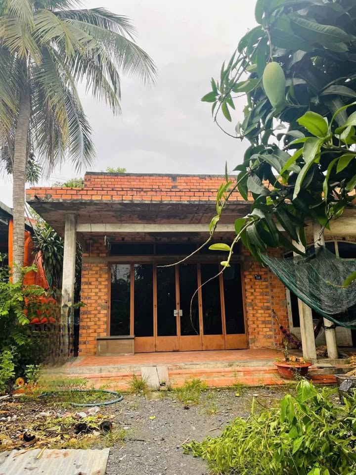 Đất Nền Trảng Bàng 306m² - Vị Trí Vàng, Giá Tốt 3xx Triệu