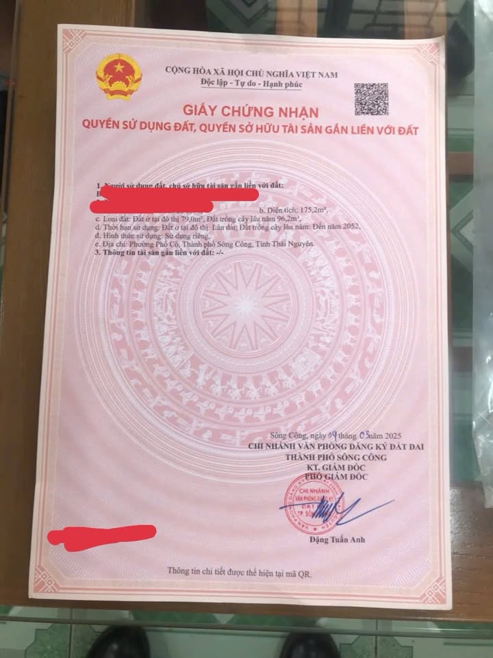 Nhà Phố Phường Đồng Tiến, Phổ Yên 175m² - Mặt tiền kinh doanh đắc địa!