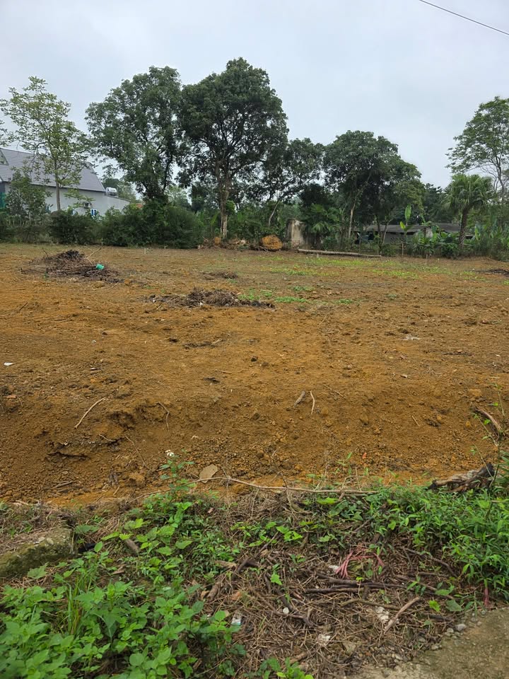 Đất nền 270m² Thị trấn Sao Vàng, Thọ Xuân - Sổ đỏ chính chủ