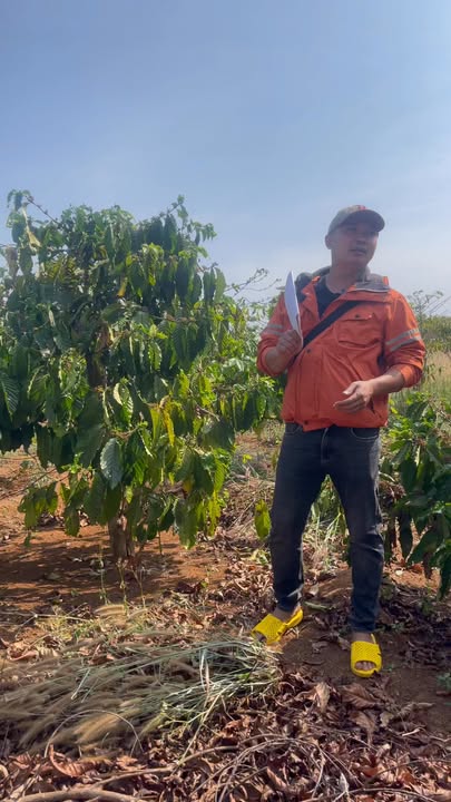 Đất Chính Chủ Ia Pa, Gia Lai - 4900m² Ba Mặt Tiền, Giá Thỏa Thuận