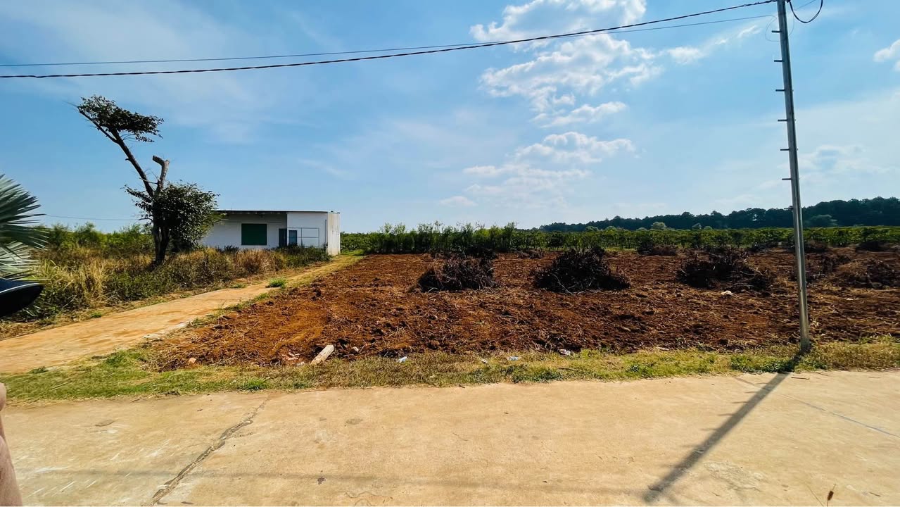 Đất nền Biển Hồ, Gia Lai 175m² - Sổ đỏ, full thổ cư, giá từ 6xx triệu