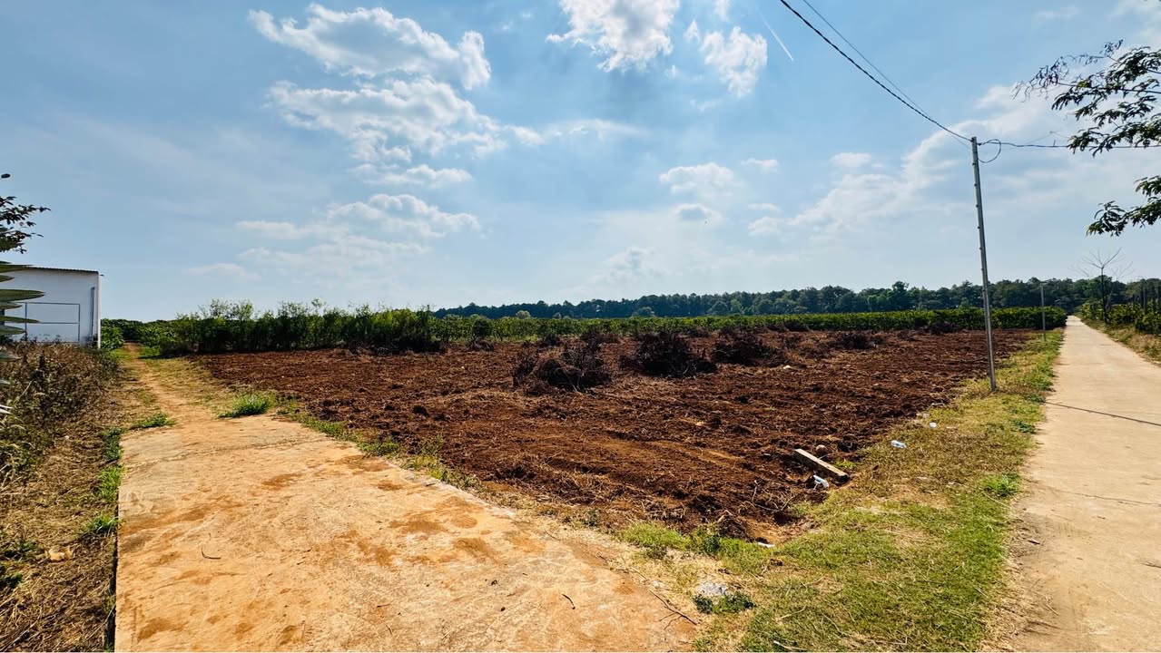 Đất nền Pleiku 175m² - Sổ đỏ chính chủ, đường ô tô!