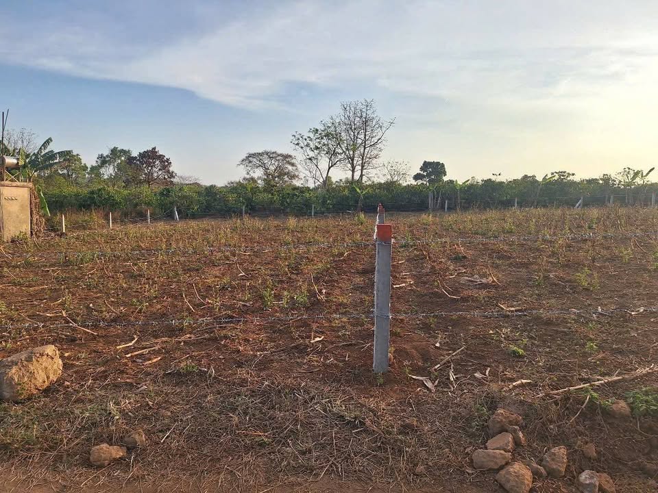 Đất Vườn Lý Chính Thắng, Pleiku - 900m² - 3.2 Tỷ - Sẵn Sàng Xây Nhà Mơ Ước