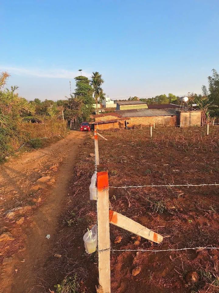 Đất Nông Nghiệp Lý Chính Thắng Pleiku 900m² - Lý Tưởng Nhà Vườn