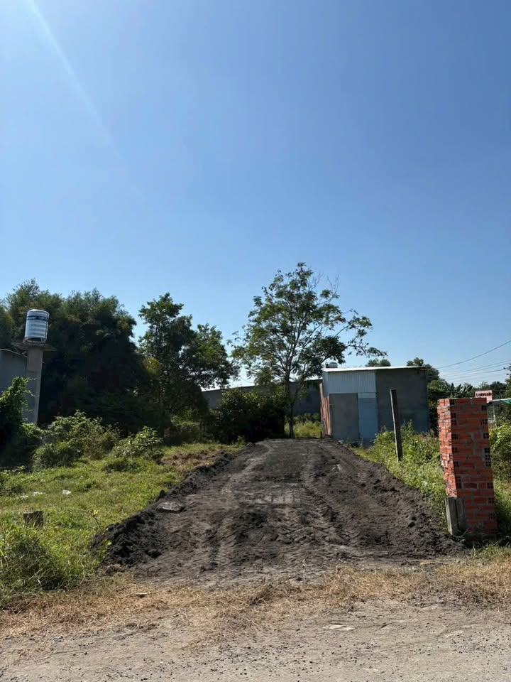 Đất nền Hẻm 32 Trần Phú Hòa Thành 130m² - Sổ đỏ chính chủ