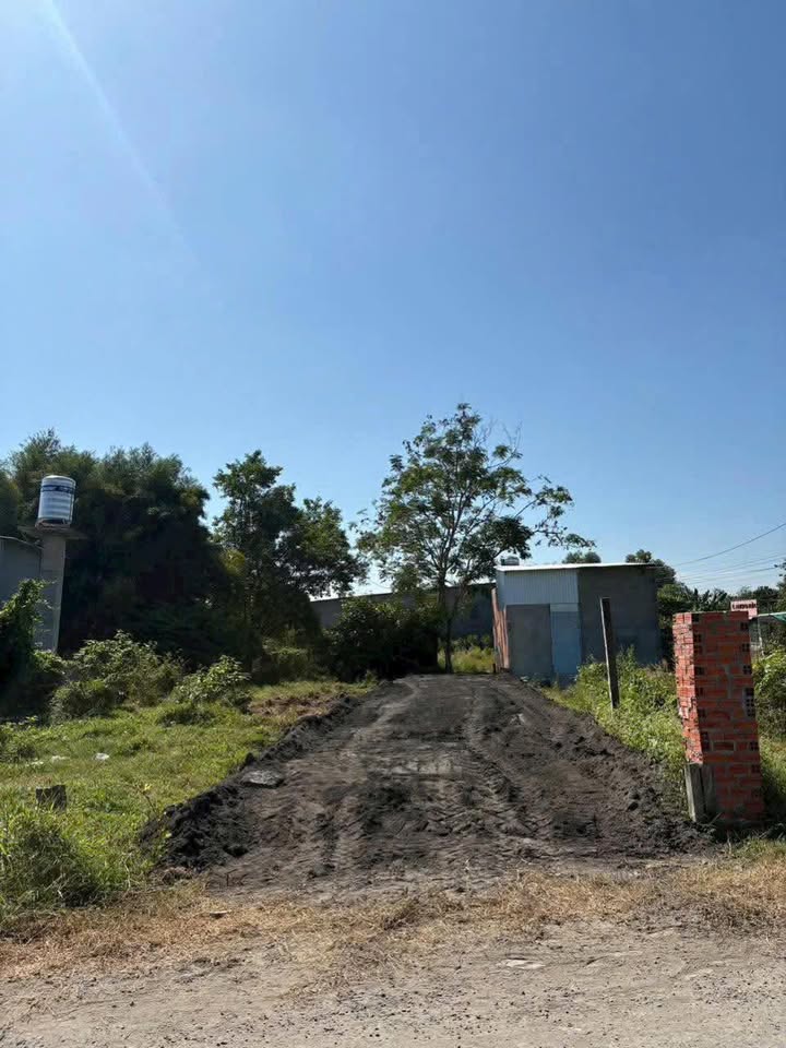 Bán Đất Hẻm 32 Trần Phú, Q5 - 130m² Sổ Đỏ, Giá 1.43 Tỷ