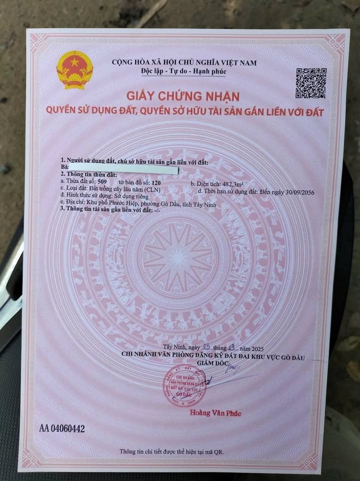 Đất Nền Gò Dầu, Tây Ninh 482m² - Ngay Ngã Tư Gia Bình, Sổ Đỏ Sẵn Sàng