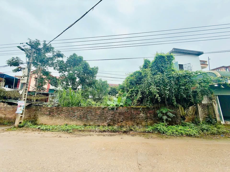 Đất nền Xuân Mai 229m² - Sổ đỏ chính chủ, tiềm năng sinh lời!