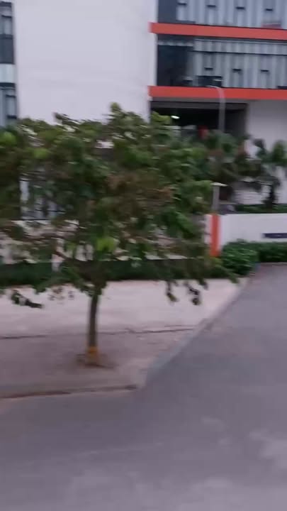 Cho Thuê Mặt Bằng Kinh Doanh 80m² Mặt Đường Tu Hoàng - Giá Tốt