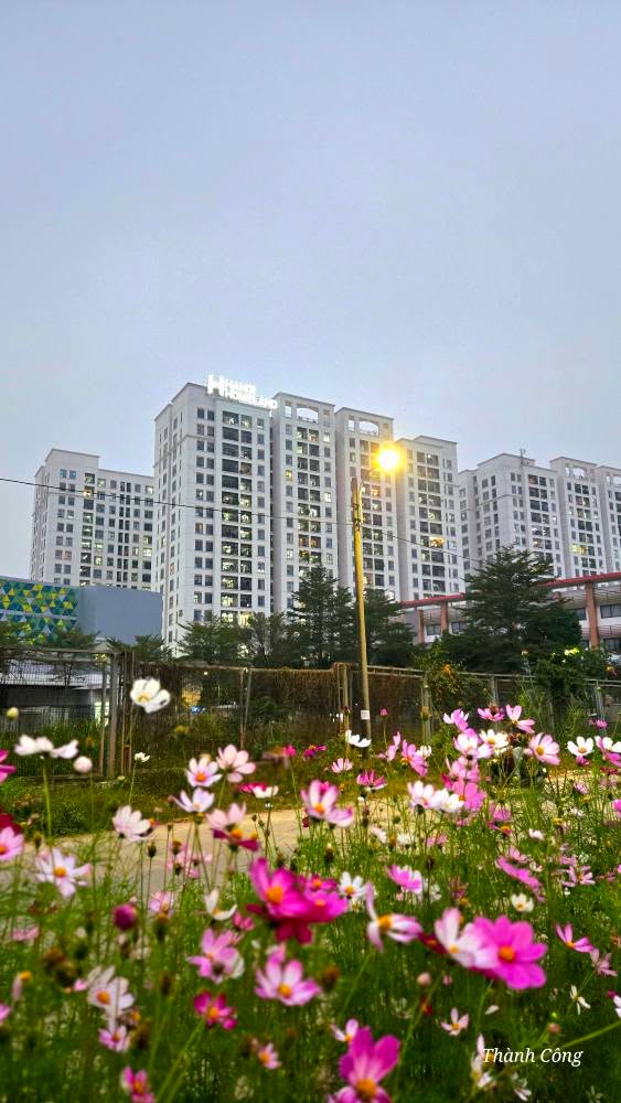 Căn hộ Hà Nội Homeland Long Biên 69m² - View đẹp, sổ đỏ sẵn sàng!