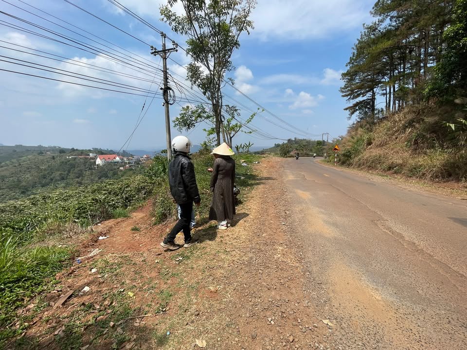 Đất nền Tân Châu Di Linh 10.000m² - Tiềm năng tăng giá vượt trội!