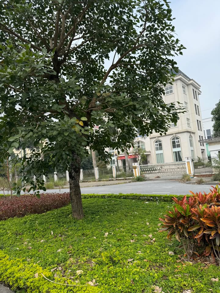 Đất nền Duy Tiên 97m² cạnh Sun Grand - Sổ đỏ chính chủ