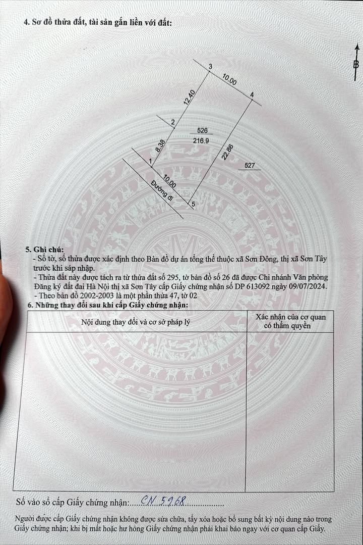 Đất nền Sơn Đông 217m² - 3 Tỷ, Sổ Hồng, Tiềm Năng Tăng Giá Cao