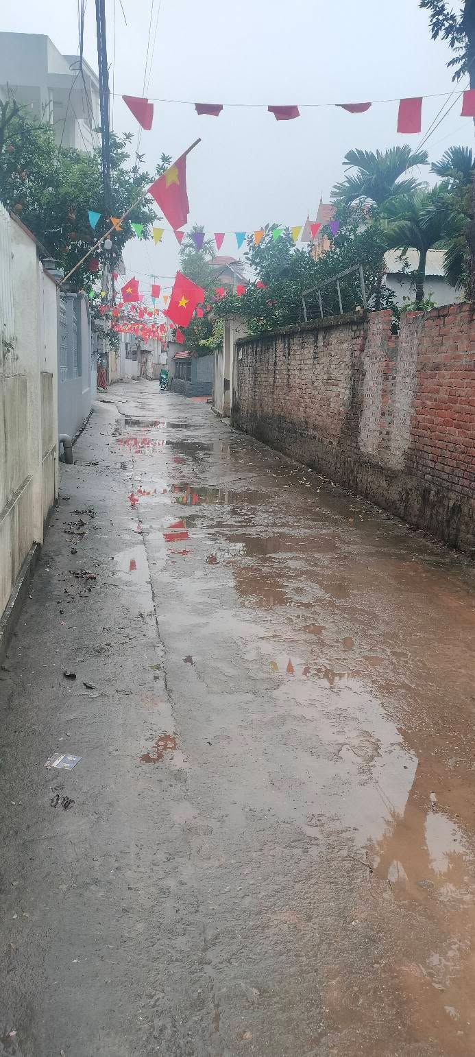 Nhà Mặt Tiền 56m² TDP Phượng Nghĩa, Chương Mỹ - Kinh Doanh Nhỏ, Giá Hơn 3 Tỷ