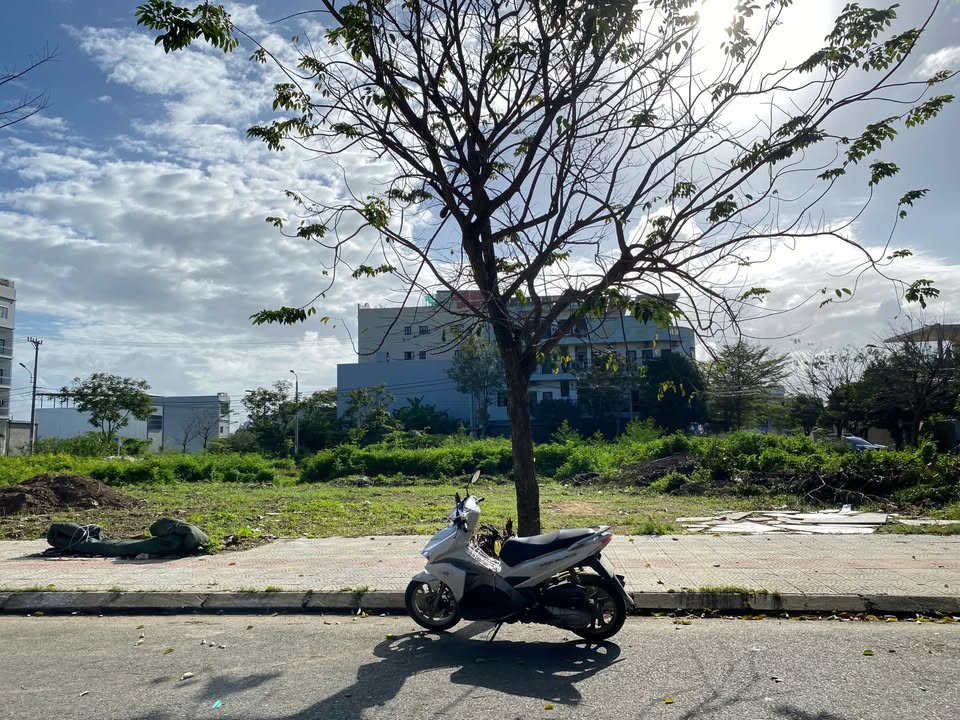 Bán Gấp 2 Lô Liền Kề Đường Chế Viết Tấn, Hòa Xuân 200m² - Giá 14 Tỷ