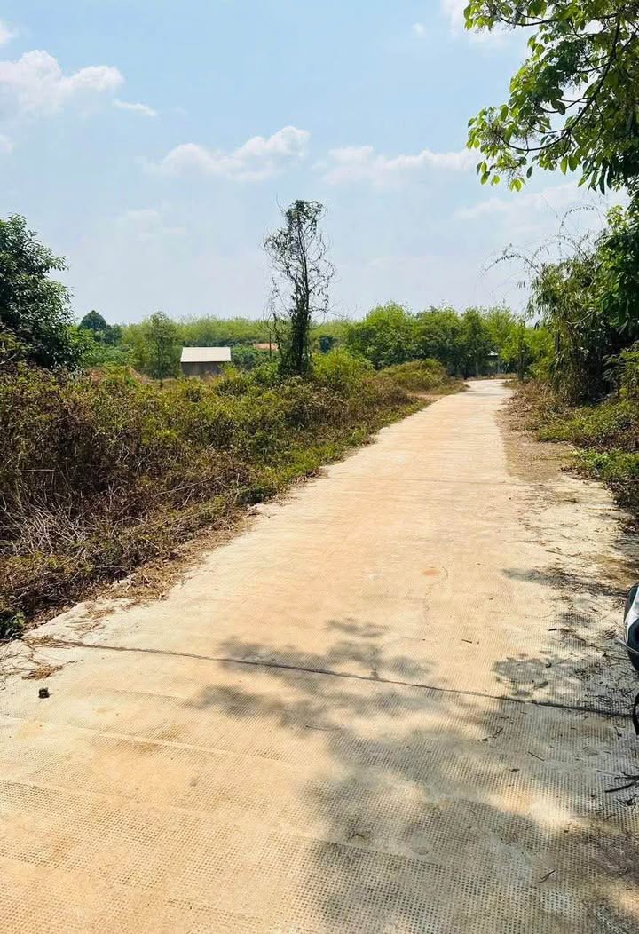 Bán Gấp Đất Vườn Tiền Giang 860m² - Sổ Đỏ Rõ Ràng