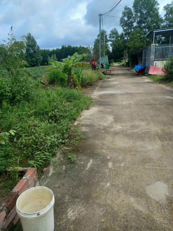 Đất Sổ Hồng Xuyên Mộc 125m² - Giá 400 Triệu Đầu Tư Sinh Lời