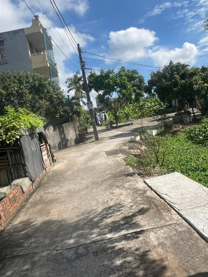 Đất nền Hoàng Diệu, TP. Thái Bình 60.8m² giá 820 triệu - Tiềm năng tăng giá!