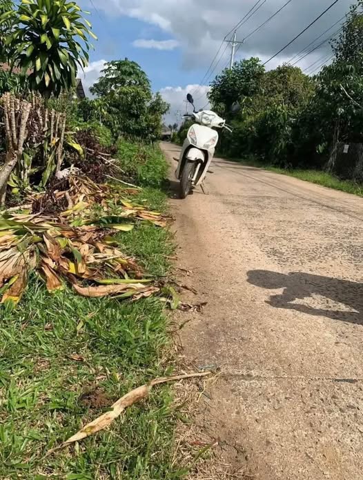 Đất Vườn Tỉnh Lâm Đồng 500m² - Giá Đầu Tư 2 Tỷ