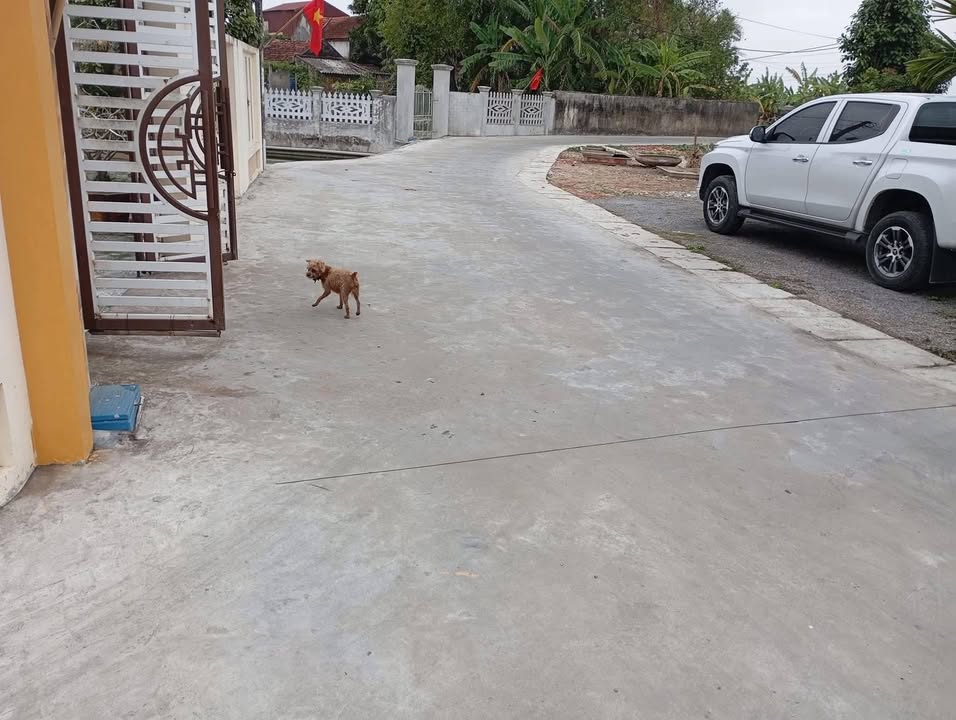 Đất nền Kim Thái, Vụ Bản - 96m², Lô Góc, Sổ Hồng Sẵn Sàng