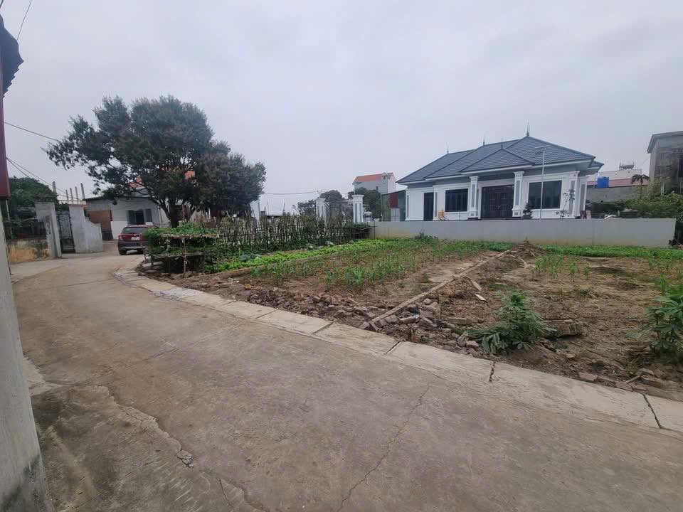 Đất nền Lương Tài 80m² giá 1 tỷ - Tiềm năng tăng giá cực lớn!