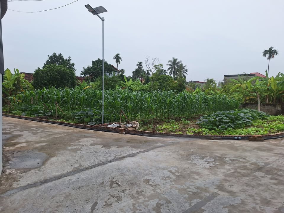 Đất nền Thanh Hà, Hải Dương 140m² - Sổ đỏ chính chủ!