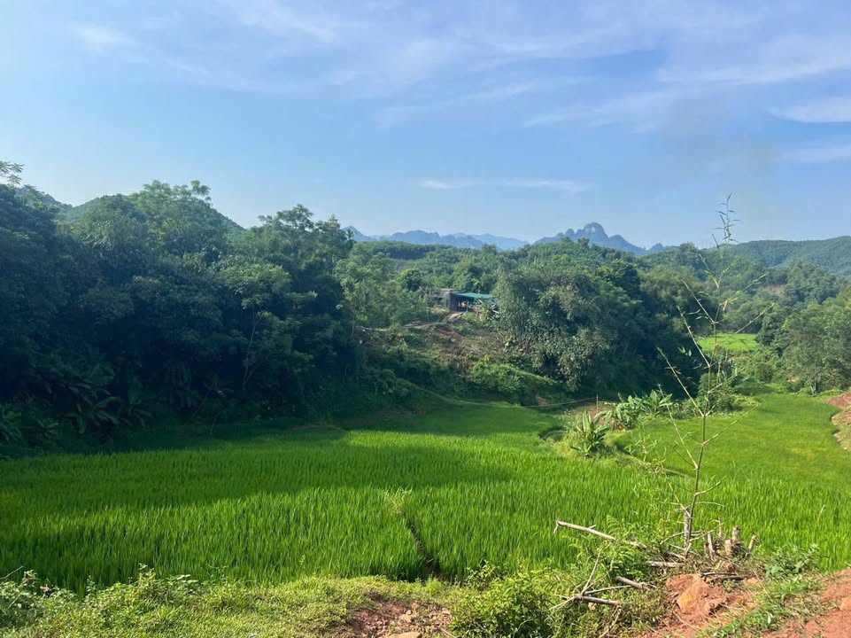 Đất vườn Tân Lạc 2200m² giá 600 triệu - Nghỉ dưỡng lý tưởng!