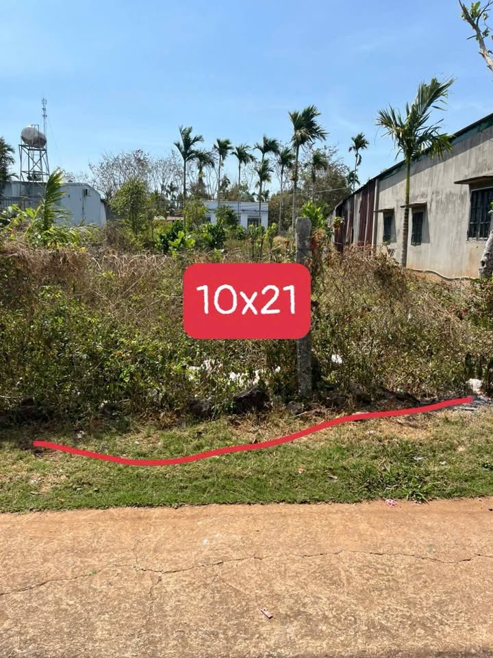 Đất nền Phường Tân An BMT 210m² - Pháp lý rõ ràng, đường ô tô vi vu!