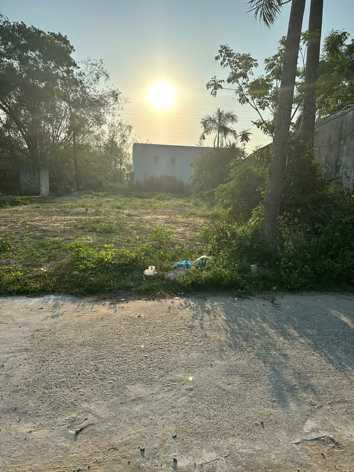 Đất Nền Điện Nam Bắc 176m² - Giá 1.8 Tỷ, Gần KCN, Thích Hợp Xây Trọ